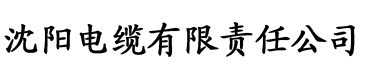 亚洲欧美一区二区三区九九九电缆厂logo